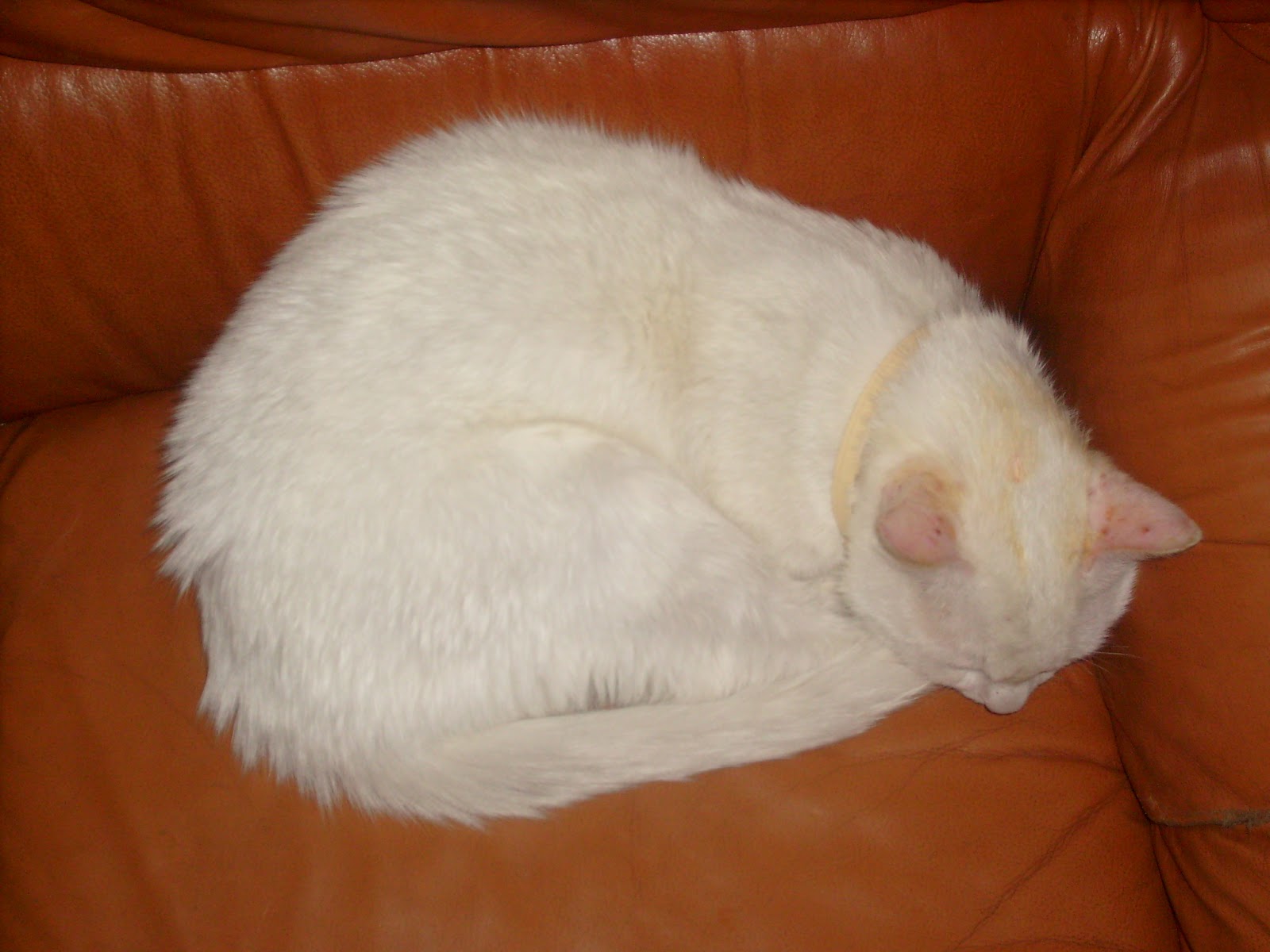 S7302160.JPG
