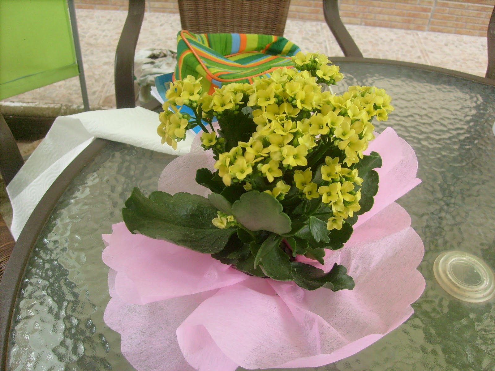 S7302172.JPG