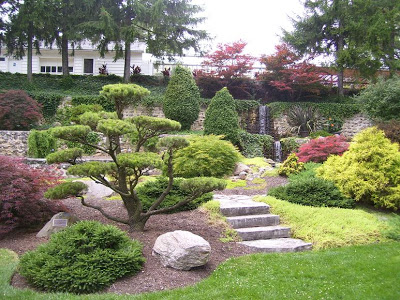 SA+steps+to+japanese+garden.jpg