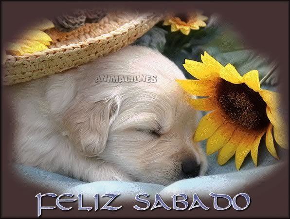 sabado048.jpg