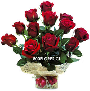 SACO_DE_ROSAS_FLORES_CHILE_ENVIOS_GR.jpg