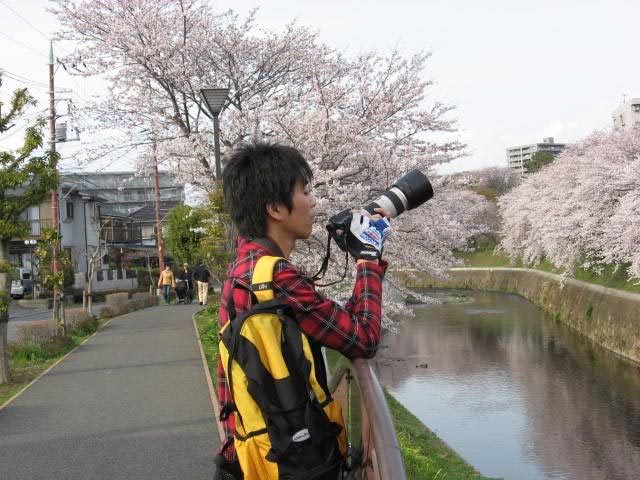 sakura011-29-03-2008.jpg