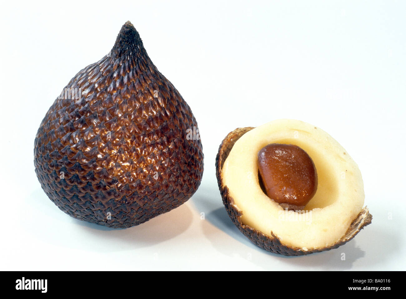 salak-snake-fruit-salacca-zalacca-whole-and-halved-fruit-studio-picture-BA0116.jpg