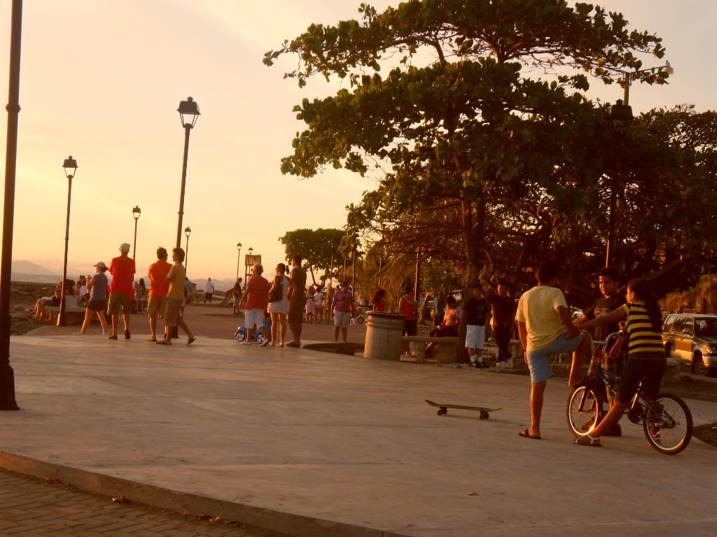 SAM_0194.jpg