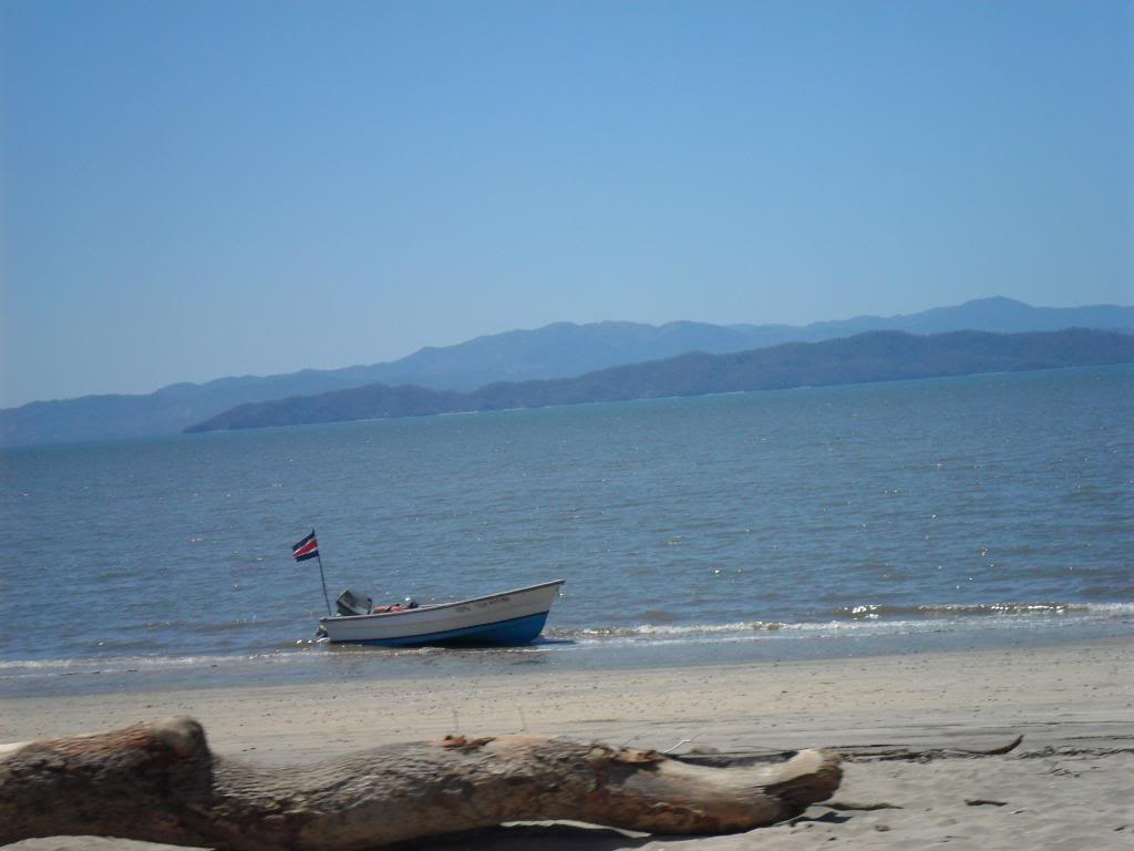 SAM_0563.jpg