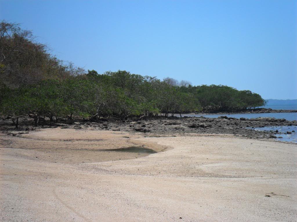 SAM_0570.jpg