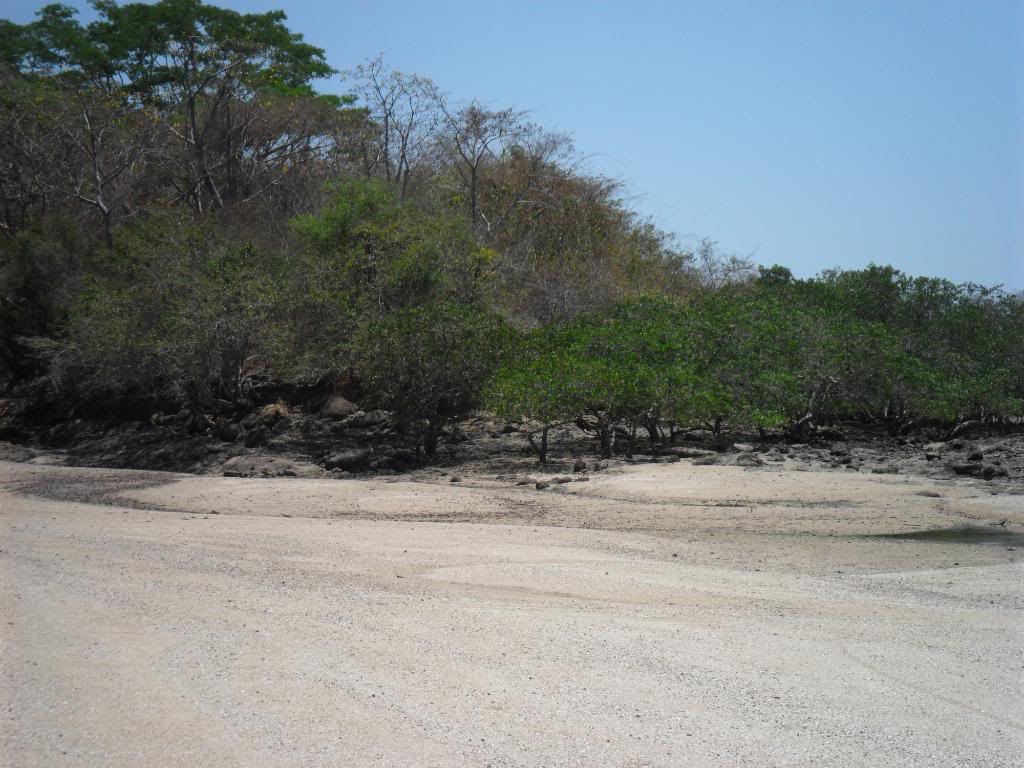SAM_0573.jpg