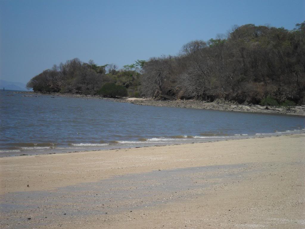 SAM_0574.jpg