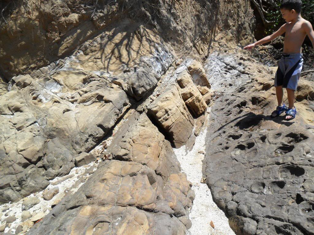 SAM_0585.jpg