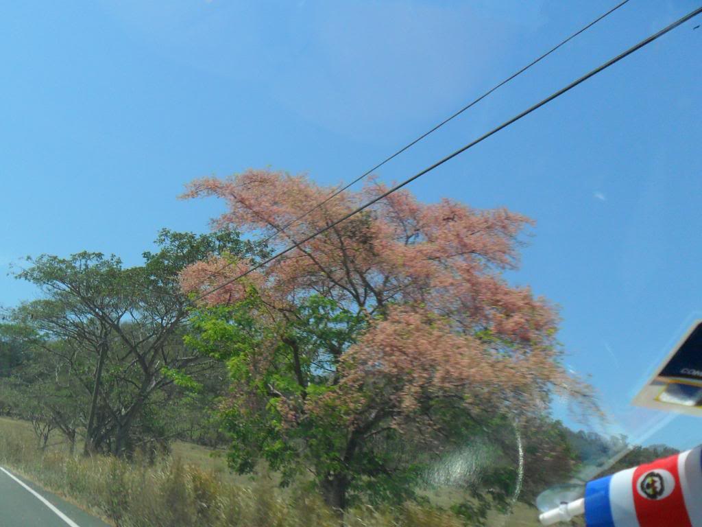 SAM_0622.jpg