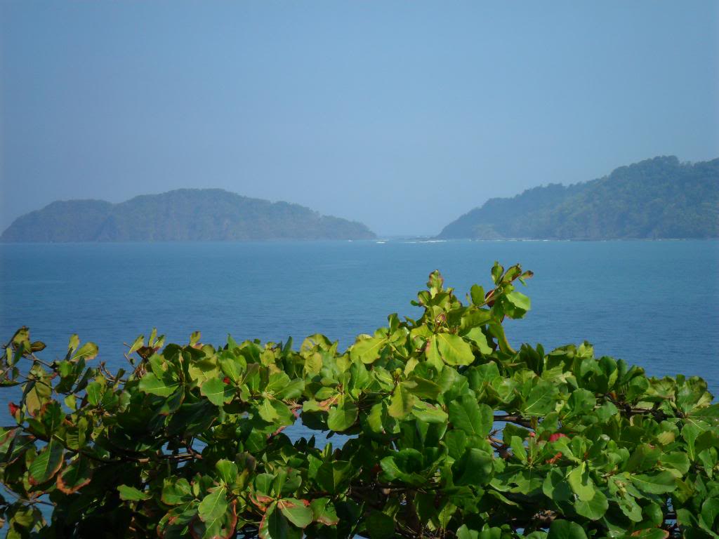 SAM_0662.jpg