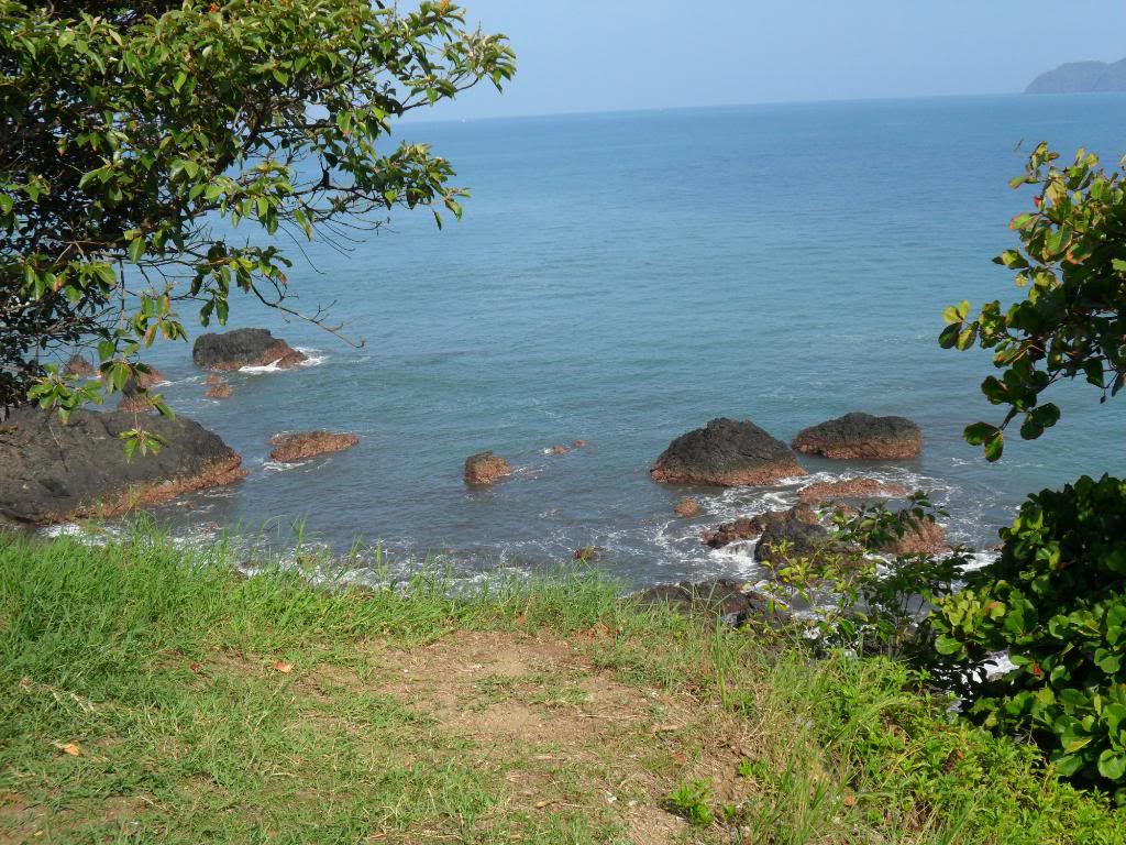 SAM_0665.jpg