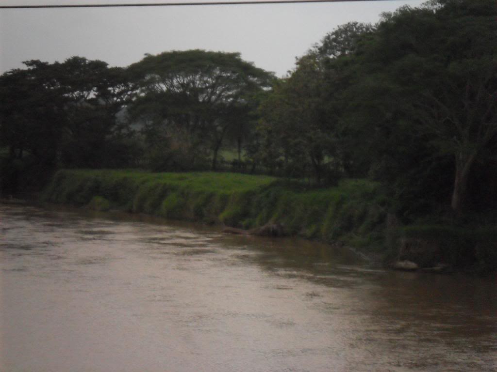 SAM_0693.jpg