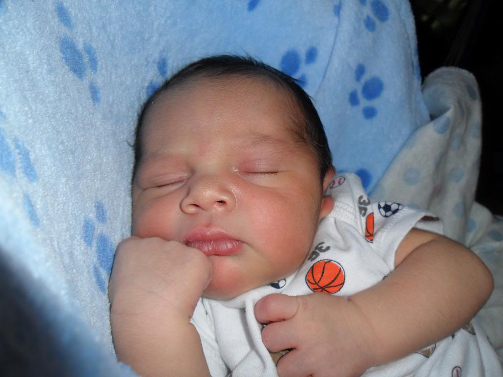 SAM_1042-1.jpg