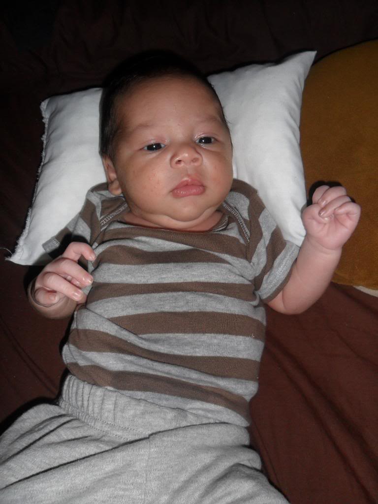 SAM_1096.jpg