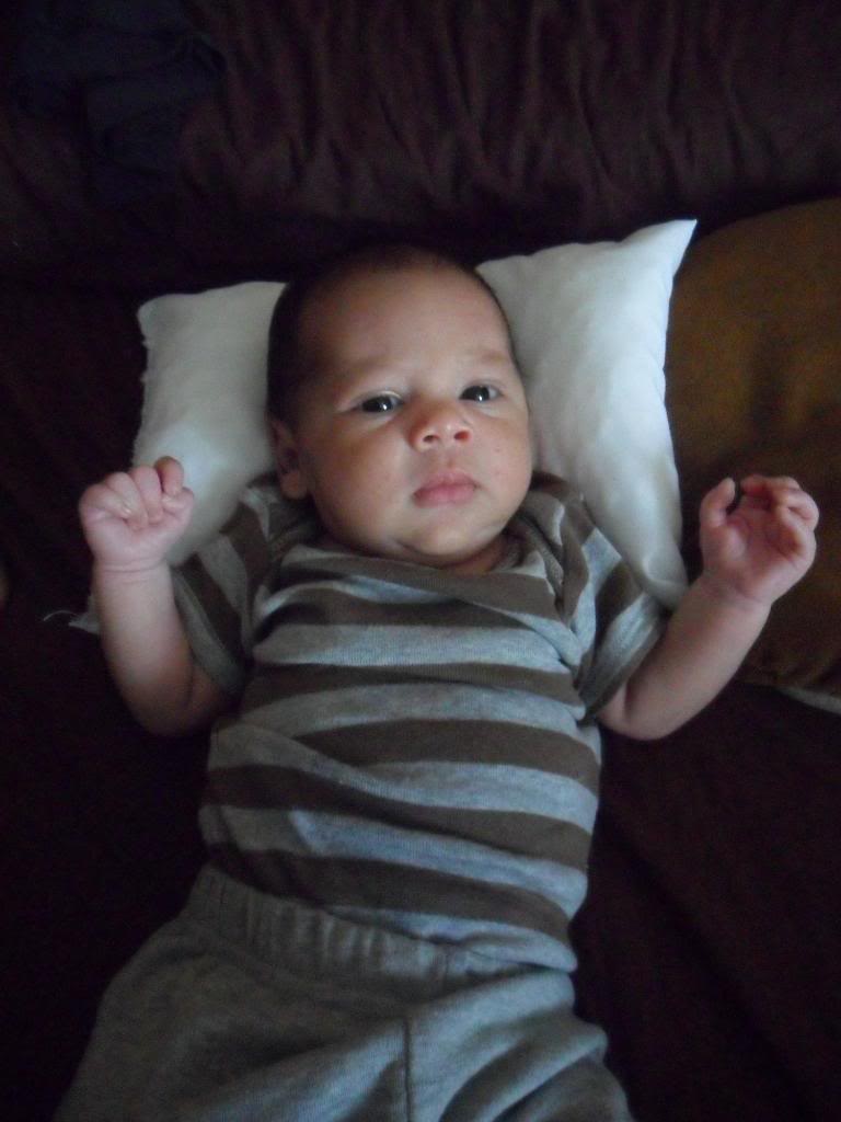 SAM_1102.jpg