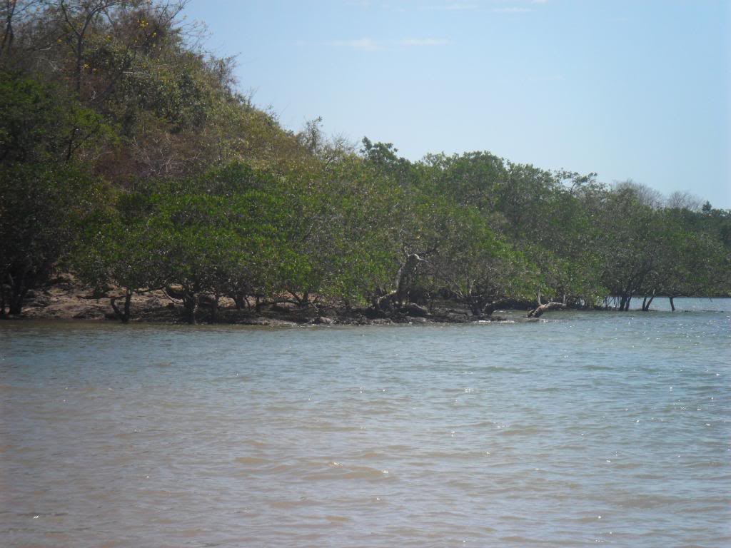 SAM_1404.jpg