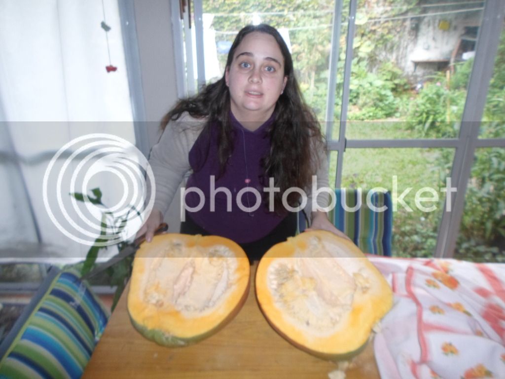 SAM_2123_zpshd5y1mfb.jpg