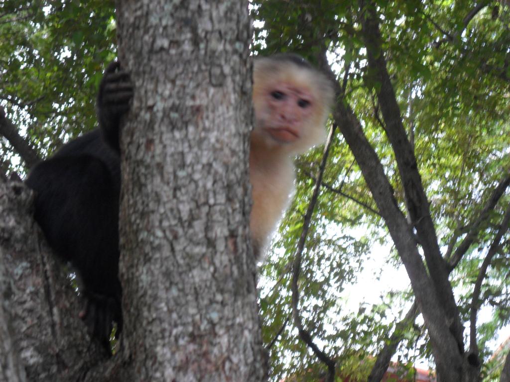 SAM_2159.jpg