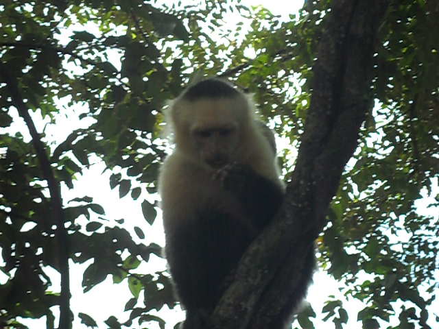 SAM_2206.jpg