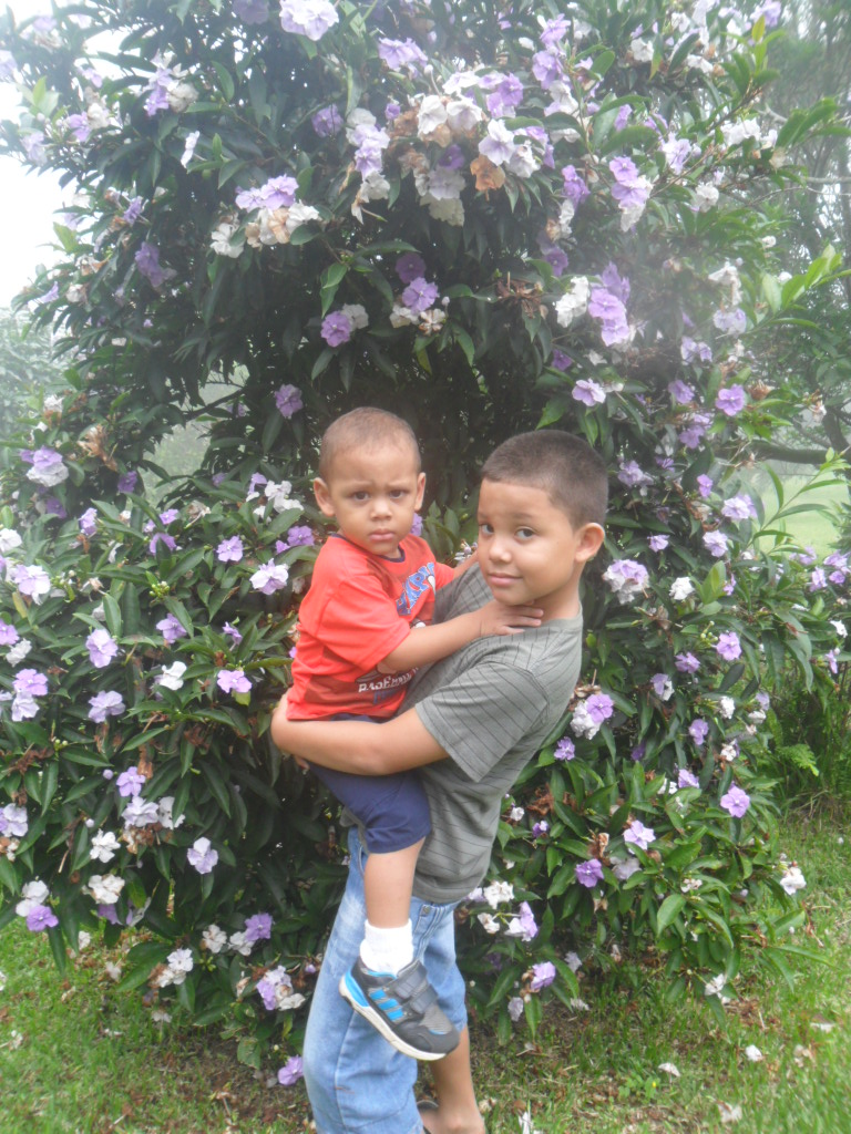 SAM_3022_zps3110fb4c.jpg