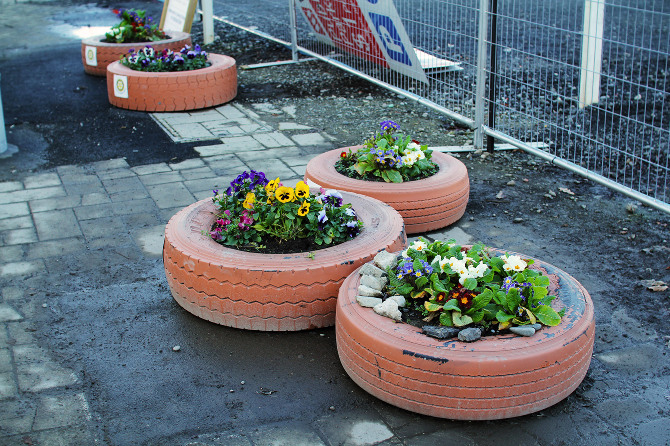 sam_corlett_bear_tire_flower_new_zealand.jpg