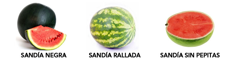 SANDIA-NEGRA-RALLADA.jpg