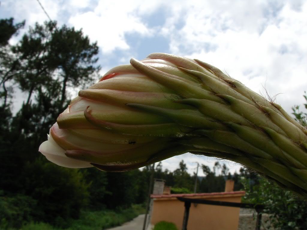 SANY00011280x768-1.jpg