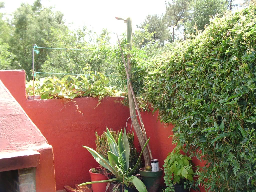 SANY00011280x768.jpg