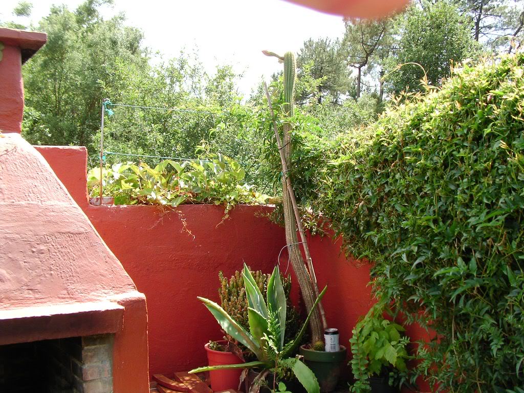 SANY00021280x768.jpg