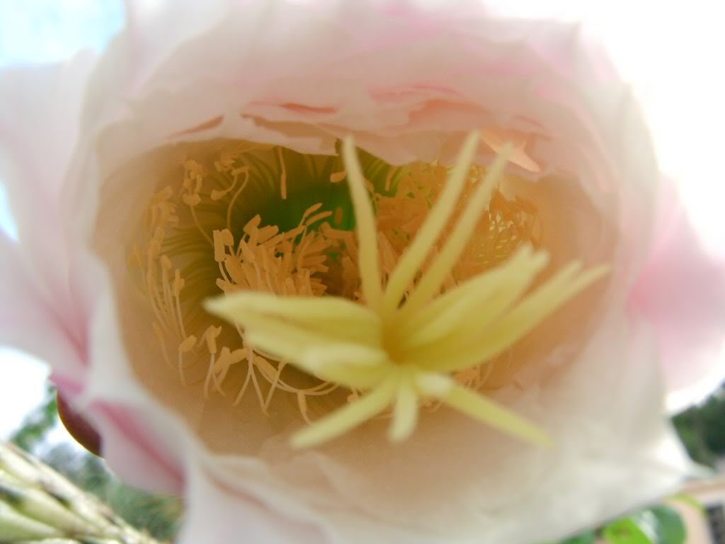 SANY00091280x768-2.jpg