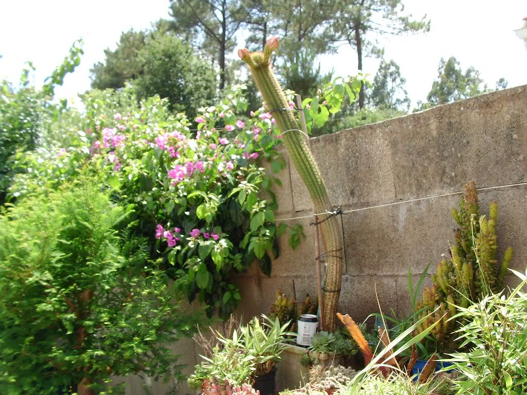 SANY00091280x768.jpg