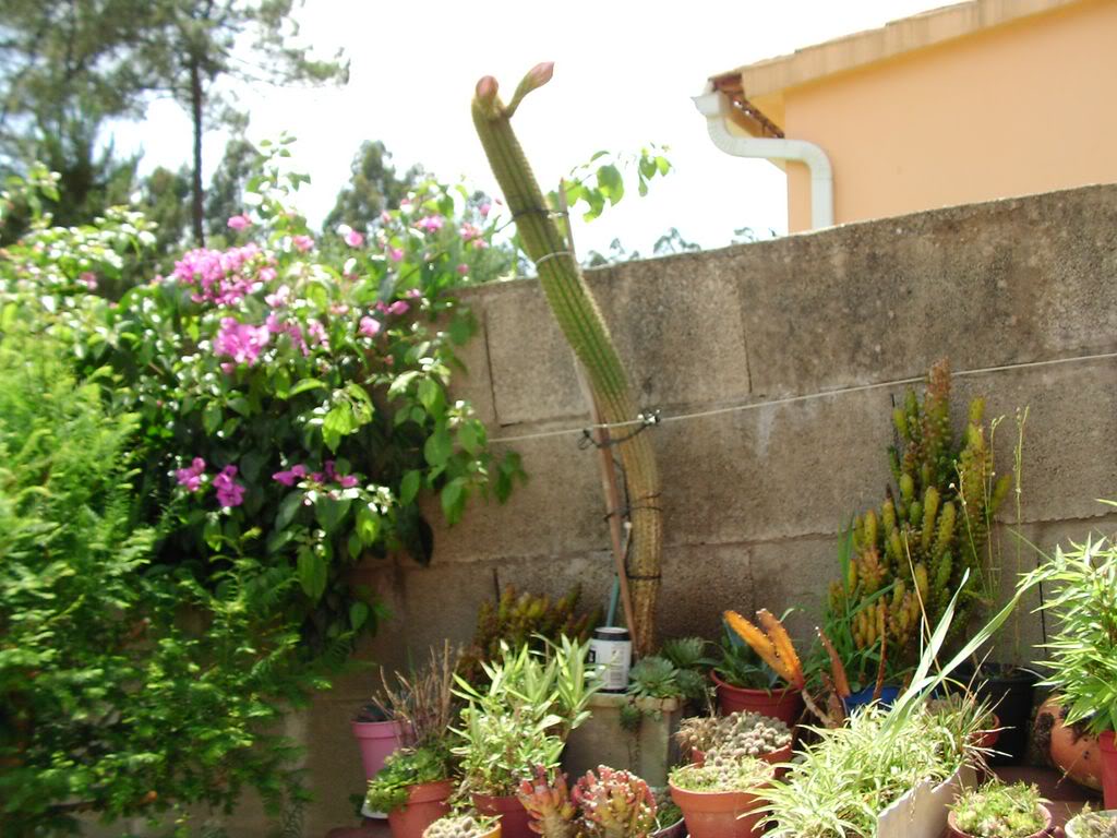 SANY00101280x768.jpg