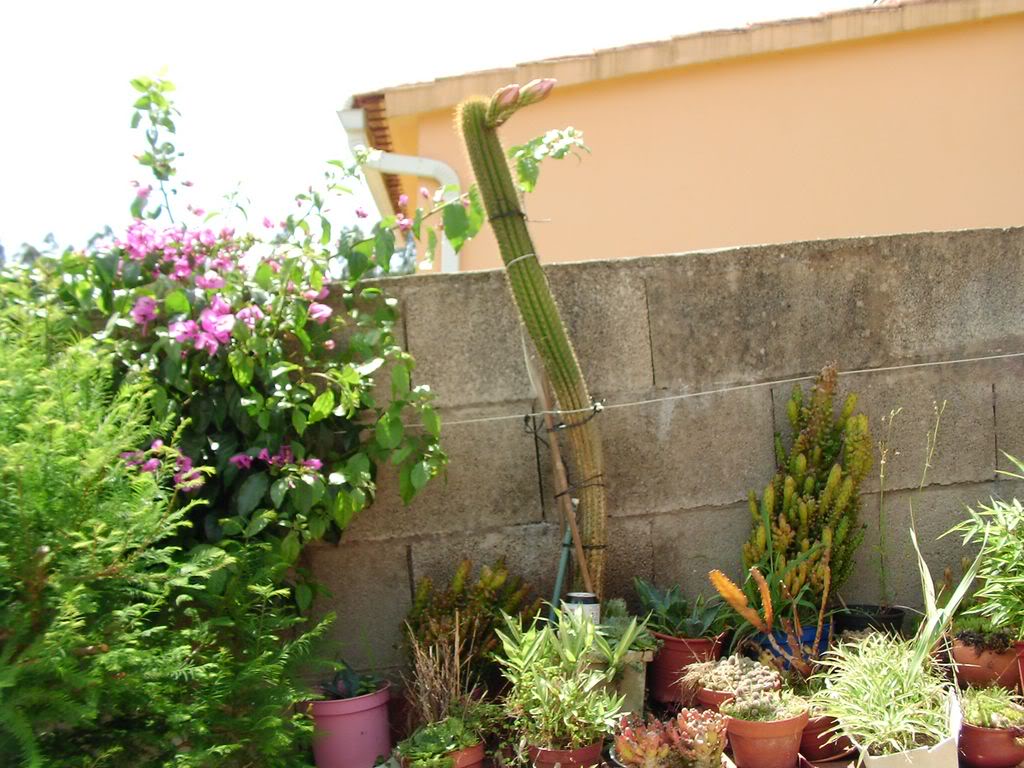 SANY00111280x768-1.jpg