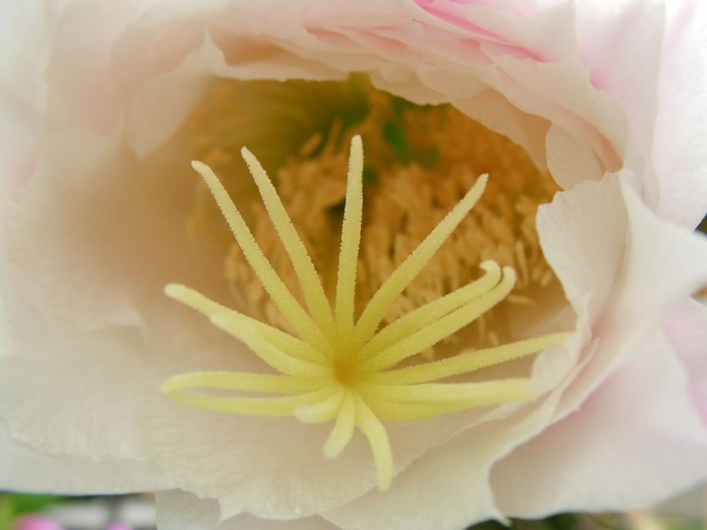 SANY00111280x768-3.jpg
