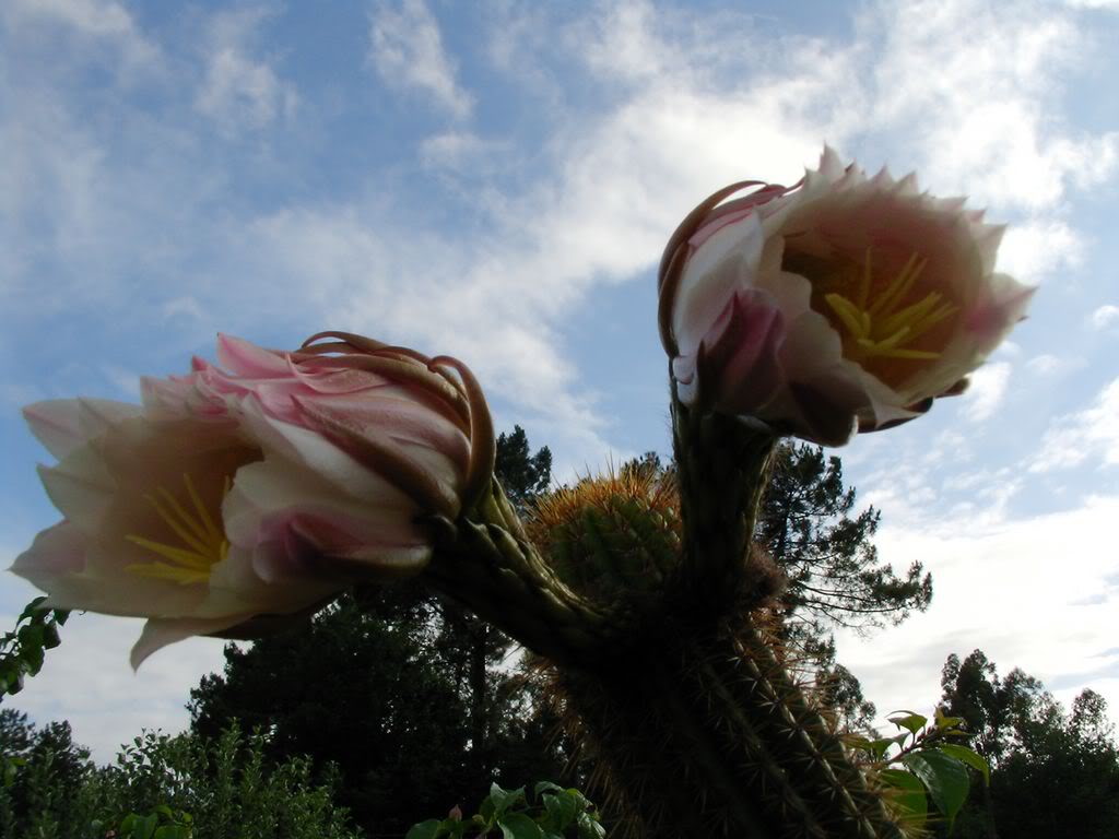 SANY00131280x768-3.jpg