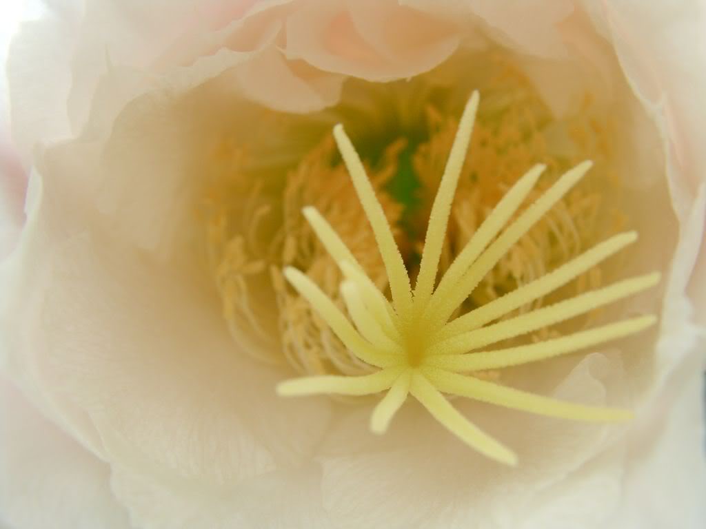 SANY00181280x768-2.jpg