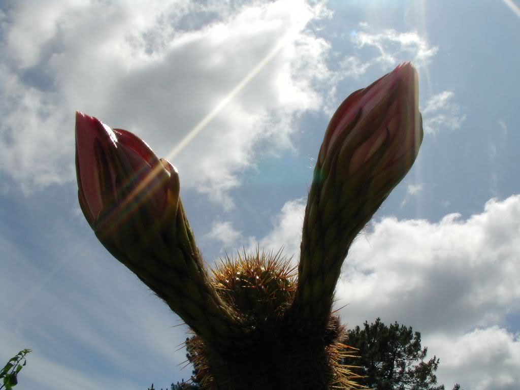 SANY00201280x768-1.jpg