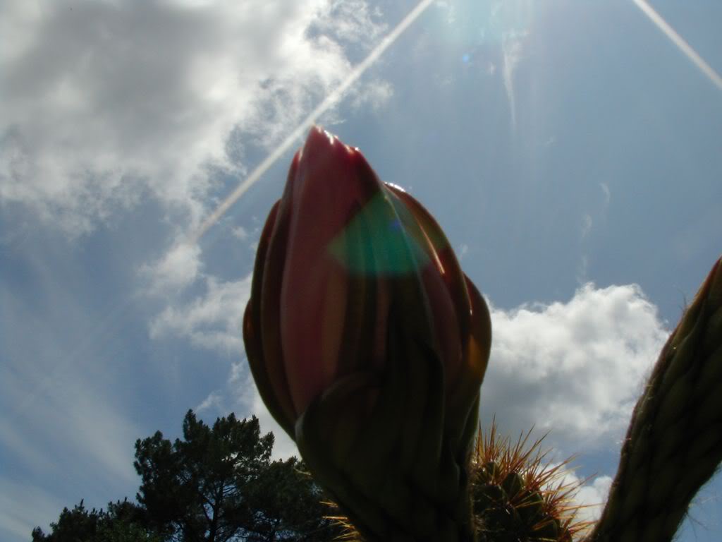 SANY00221280x768-1.jpg