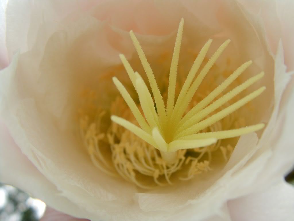 SANY00231280x768-1.jpg