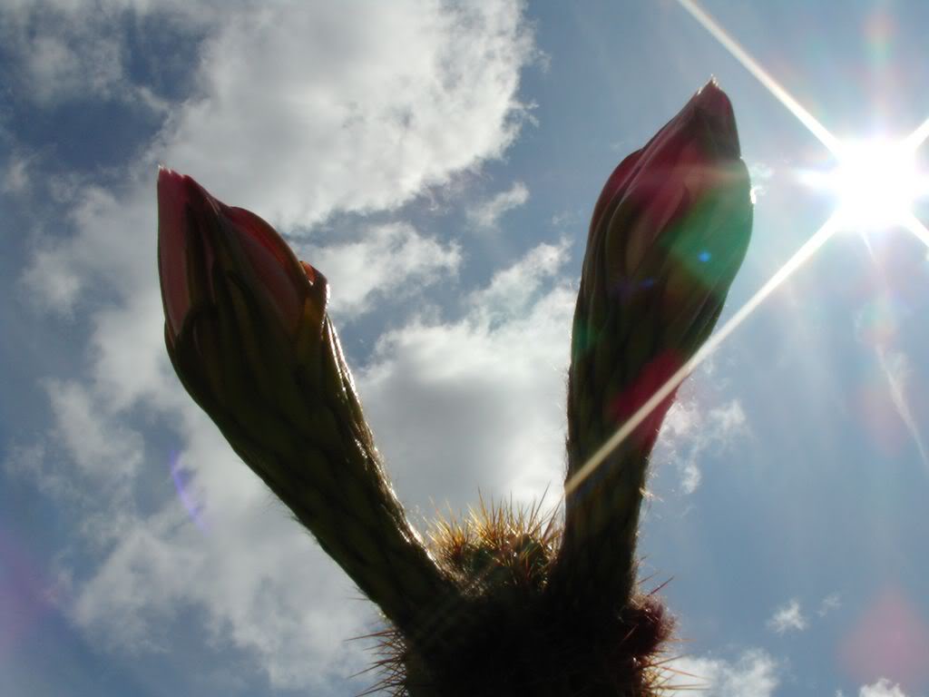 SANY00231280x768.jpg