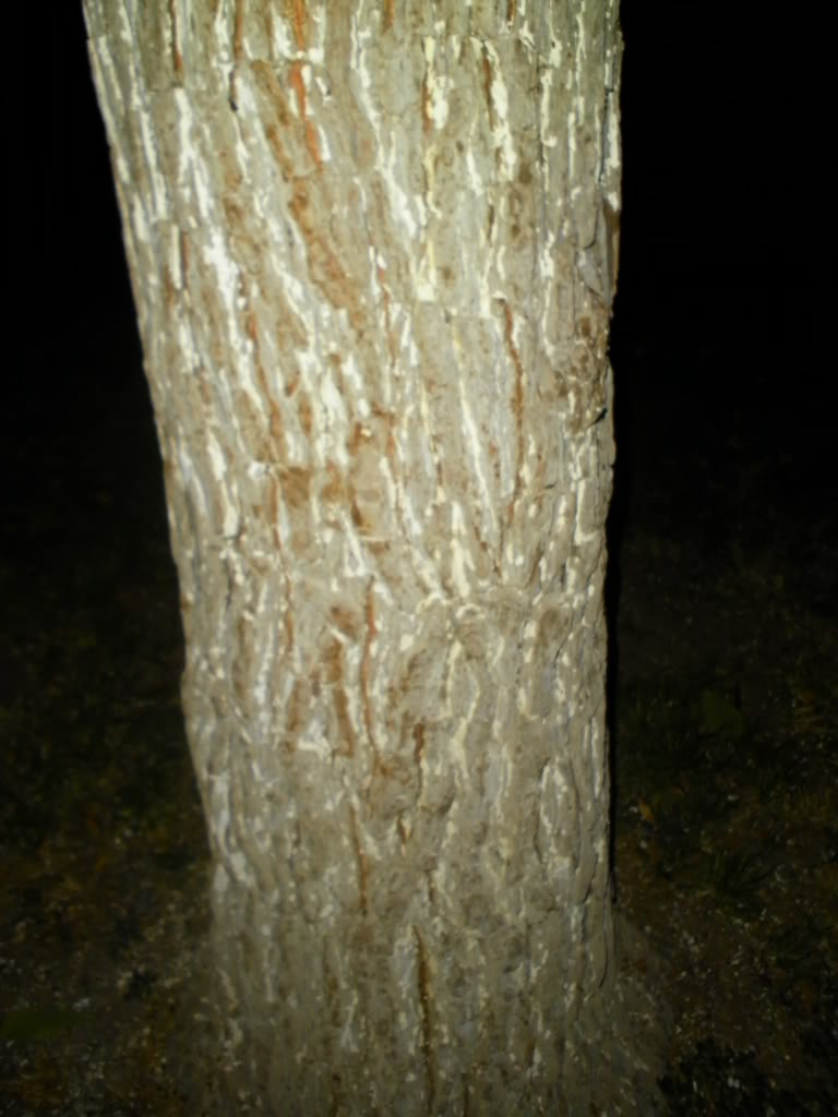 SANY0036.jpg