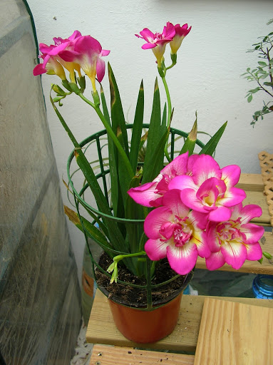 SANY0040.JPG