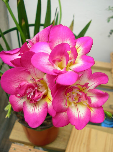 SANY0041.JPG
