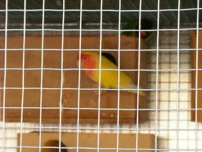 SANY01721.JPG