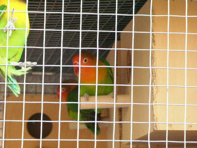 SANY0173.JPG