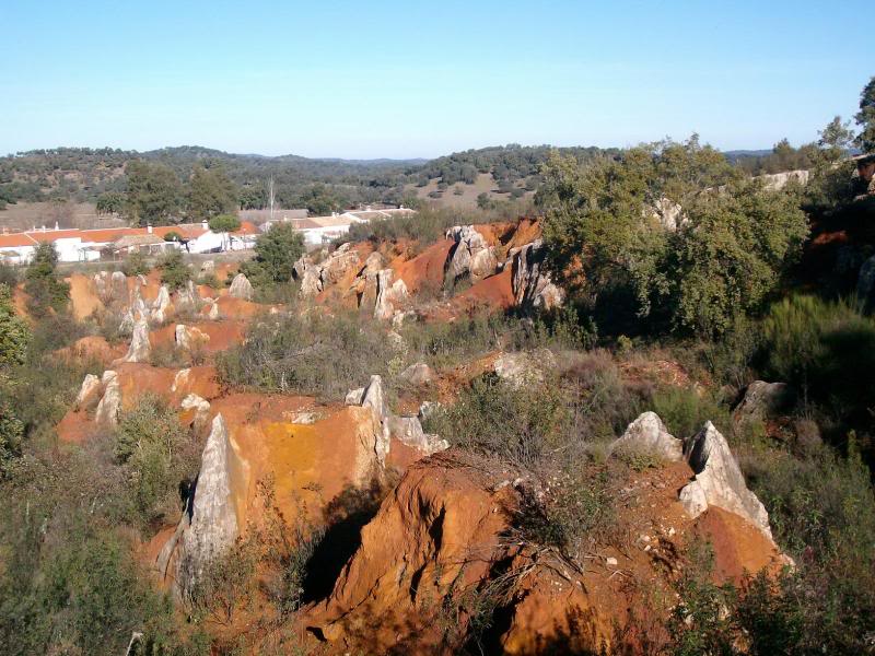 SANY1296.jpg