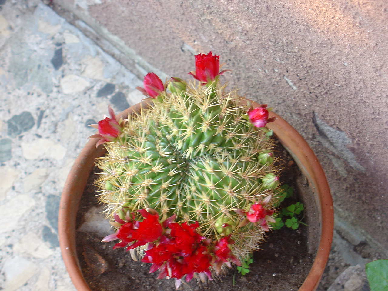 SC03200.JPG