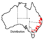 scaevola-aemula-dist-map.gif