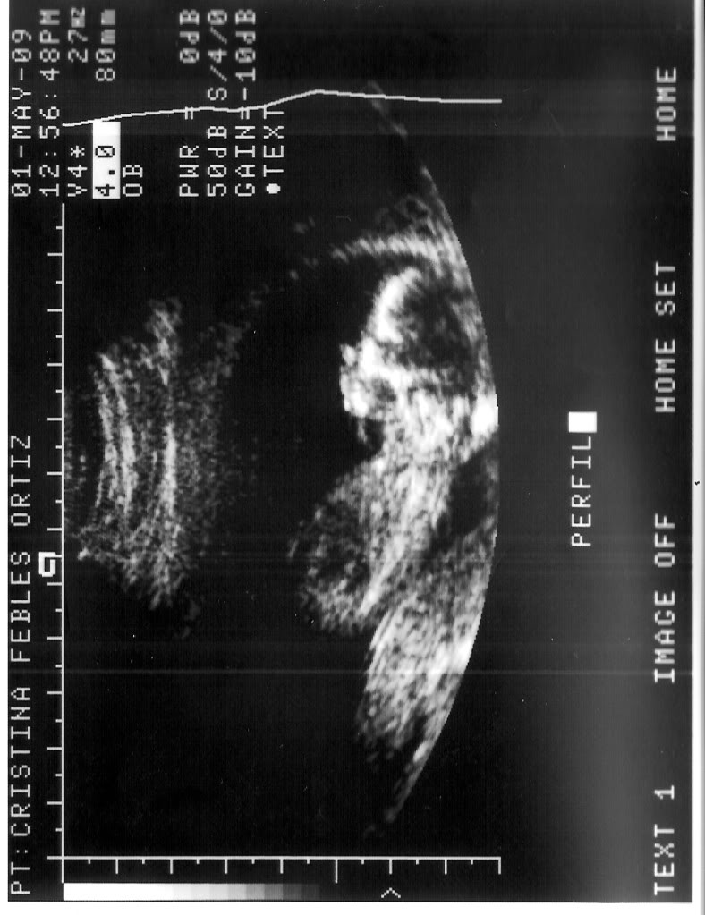 scan0002.jpg